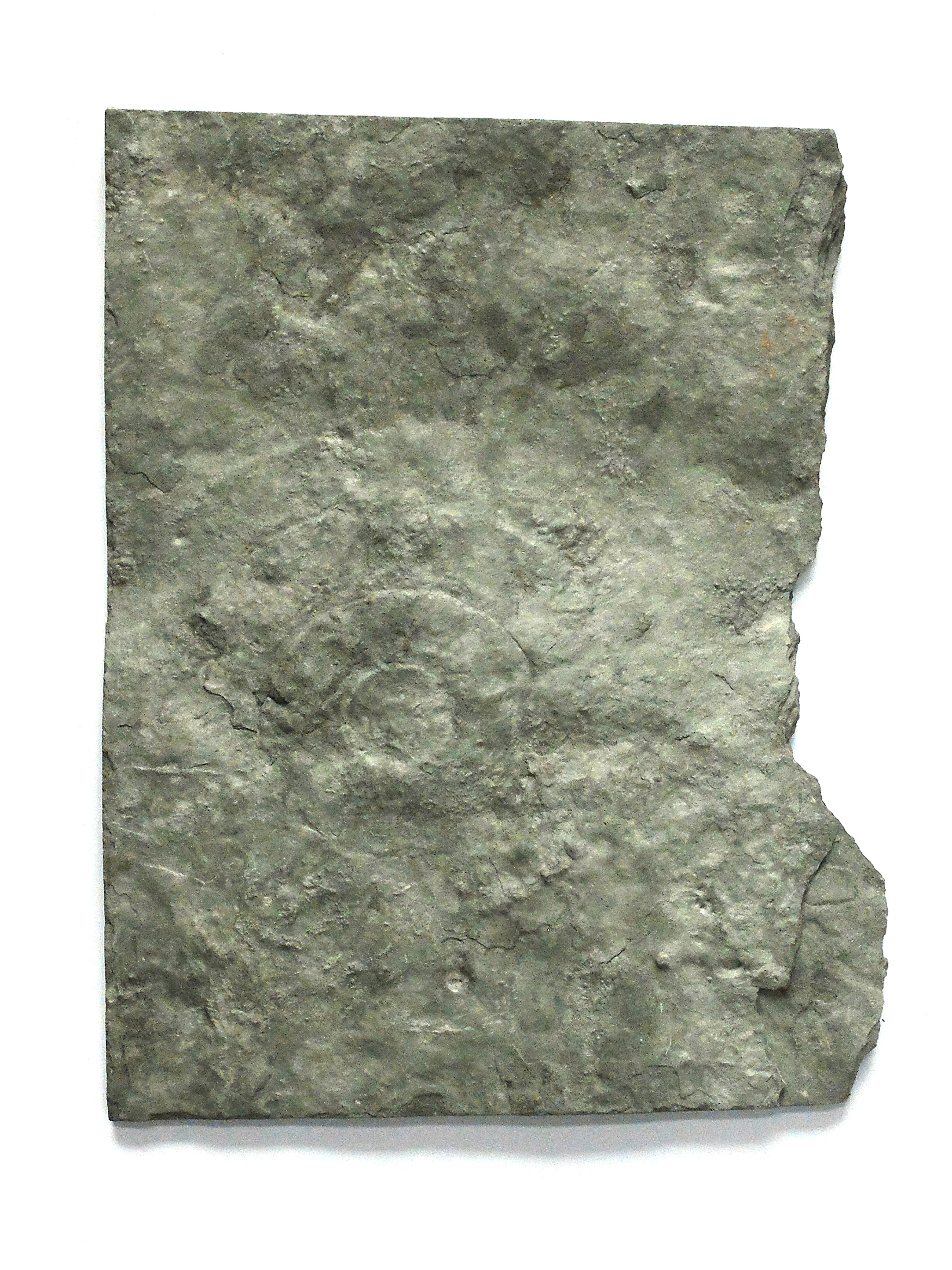Cible (Cyclomedusa gigantea (?), -600millions d’années, Novodnistrovsk, Ukraine), 2025